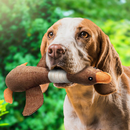 PetraPaw | Durable Eco-Friendly Indestructible Dog Toy 2