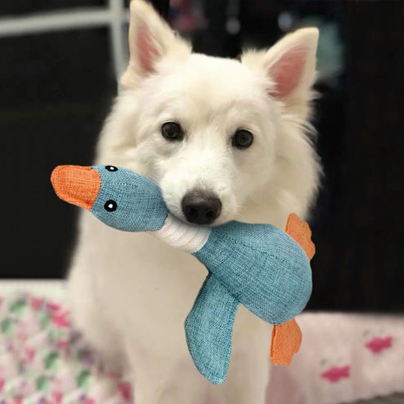PetraPaw | Durable Eco-Friendly Indestructible Dog Toy 3