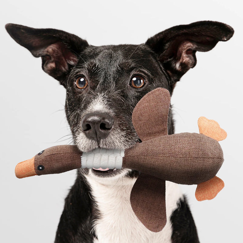 PetraPaw | Durable Eco-Friendly Indestructible Dog Toy 4