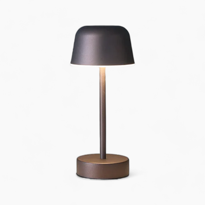 Compact Desk Lamp with Adjustable Bright Light