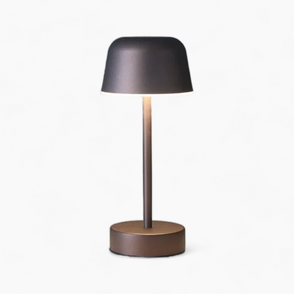 Compact Desk Lamp with Adjustable Bright Light