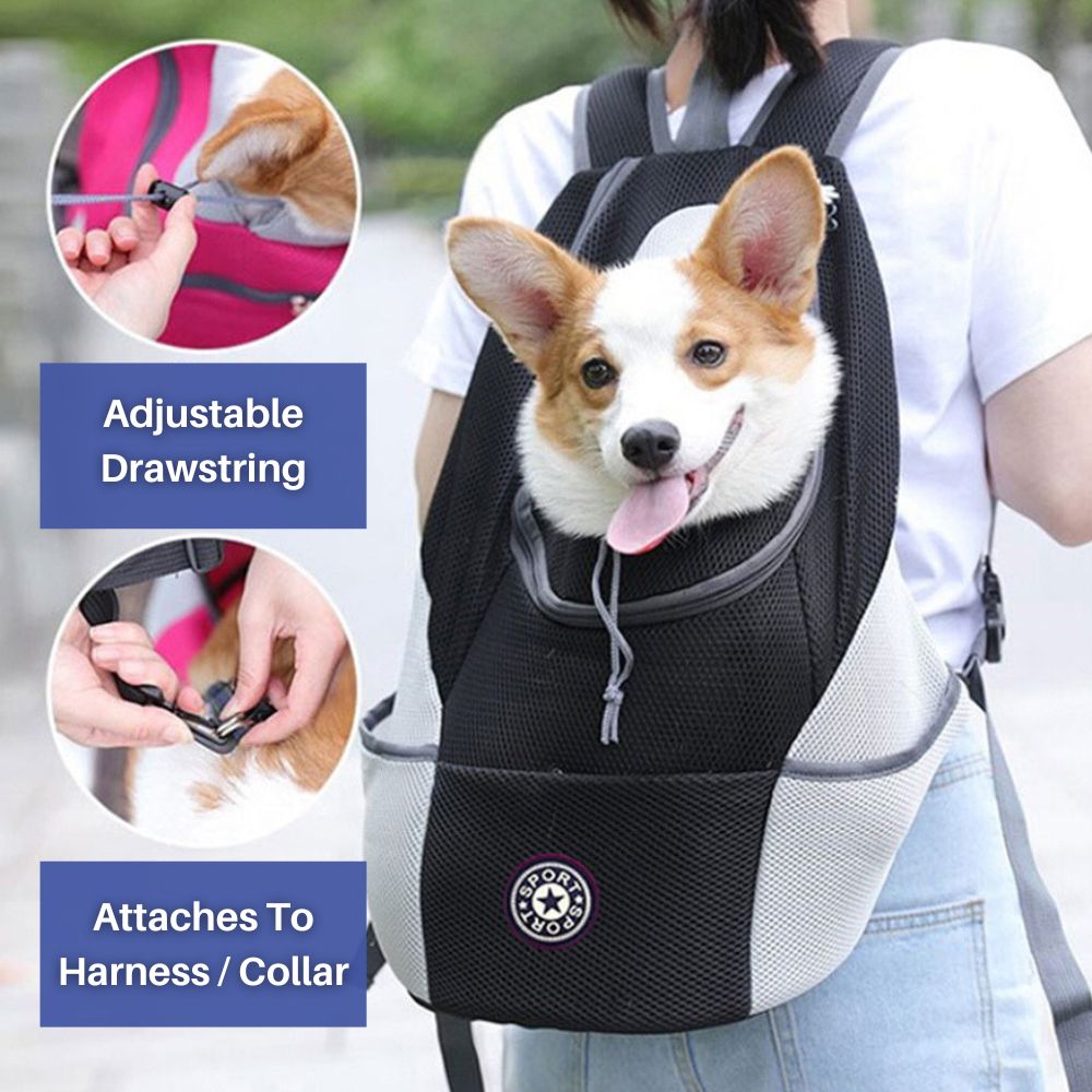 Comfortable Pet Backpack for Dogs up to 25 lbs - Lusomart