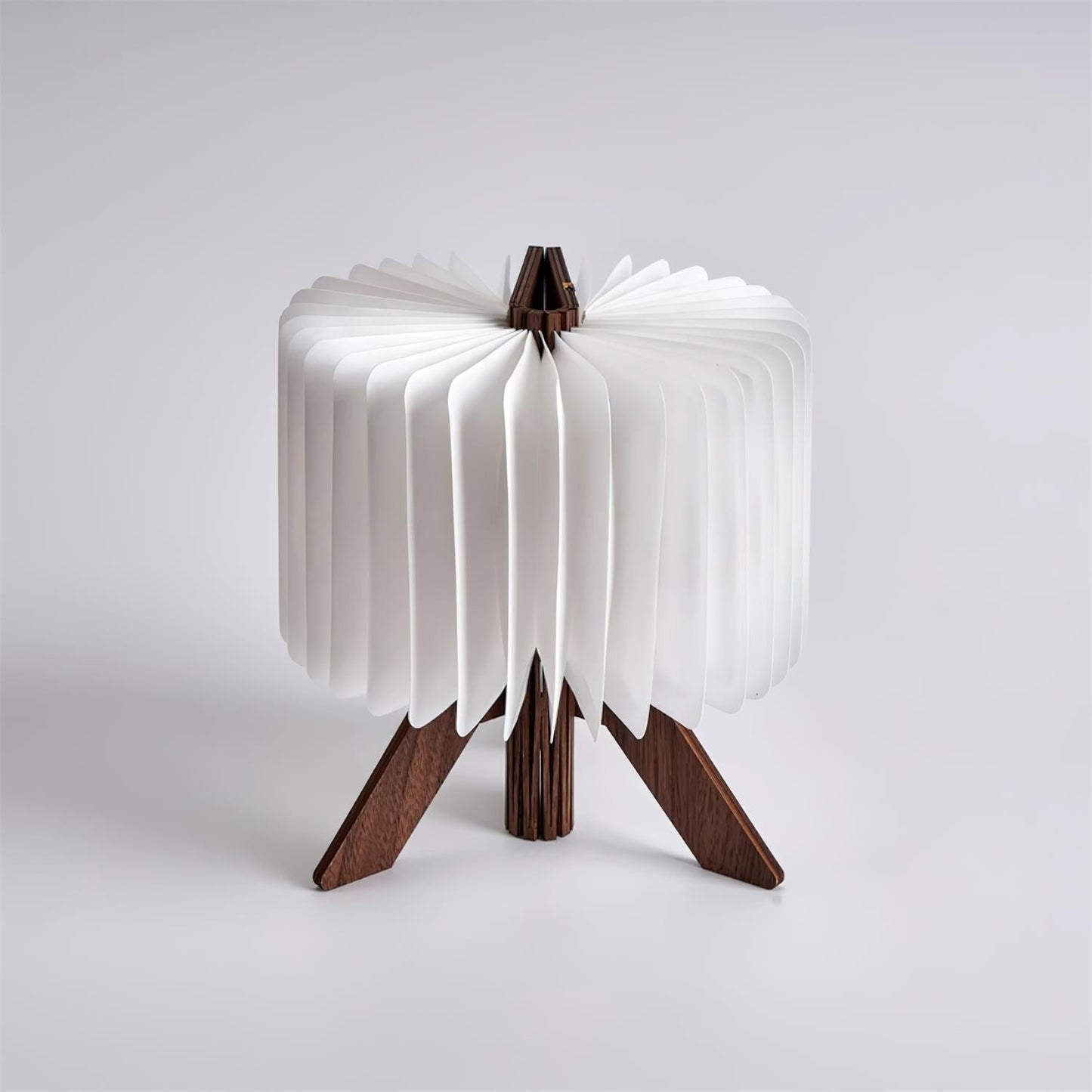 Quastel Folding Table Lamp 4