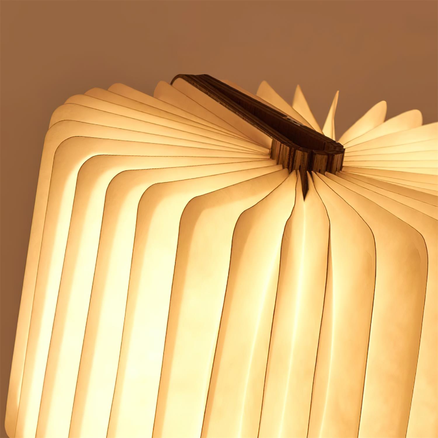 Quastel Folding Table Lamp 5
