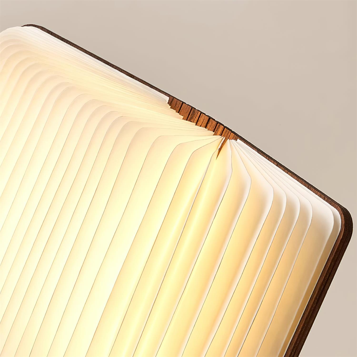 Quastel Folding Table Lamp 6