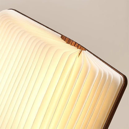 Quastel Folding Table Lamp 6