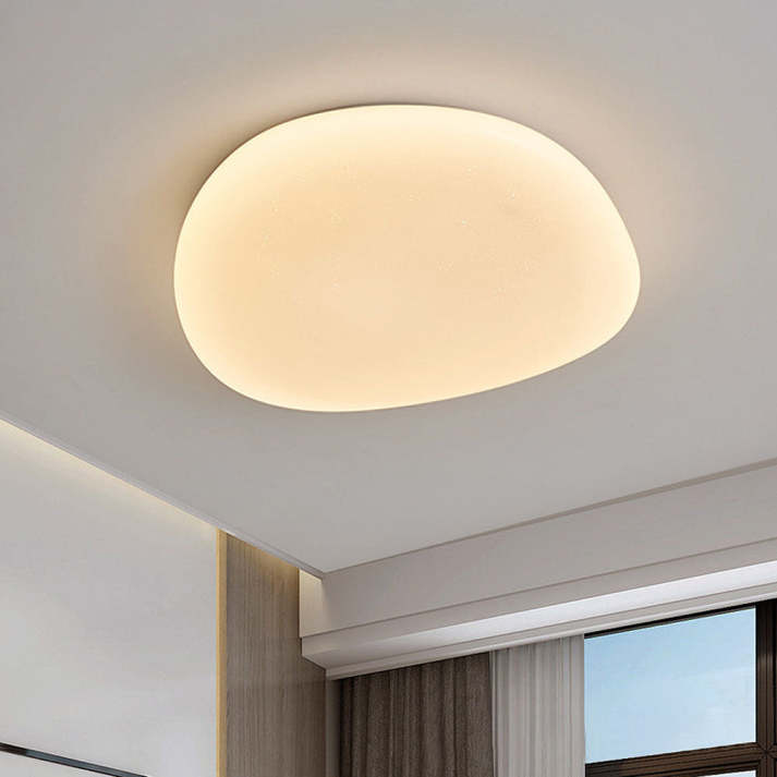 Sleek Low Profile Ceiling Lamp