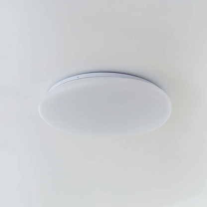 Sleek Low Profile Ceiling Lamp
