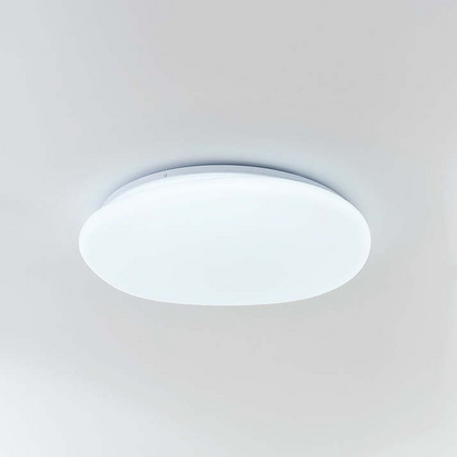 Sleek Low Profile Ceiling Lamp