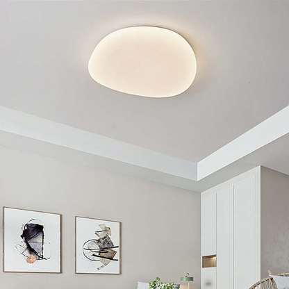 Sleek Low Profile Ceiling Lamp