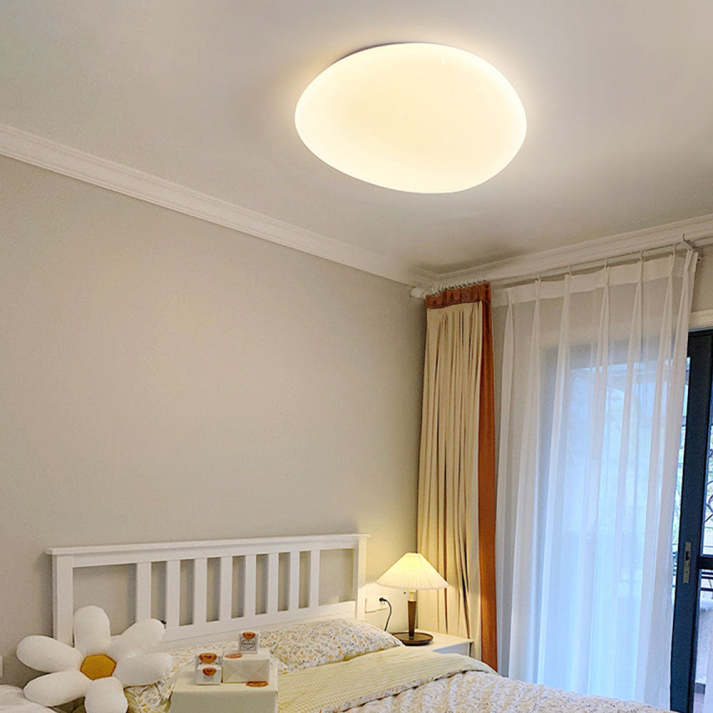 Sleek Low Profile Ceiling Lamp
