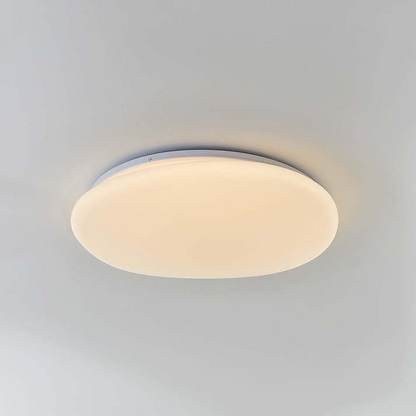 Sleek Low Profile Ceiling Lamp
