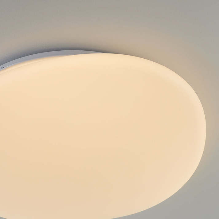 Sleek Low Profile Ceiling Lamp