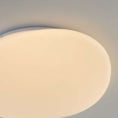 Sleek Low Profile Ceiling Lamp