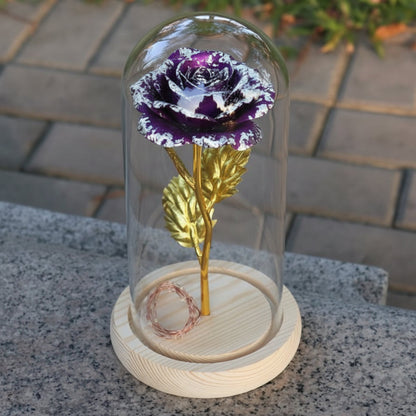 Classic Glass Table Lamp with Warm LED Lighting