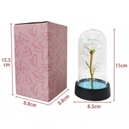 Elegant Glass Table Lamp Soft LED Lighting
