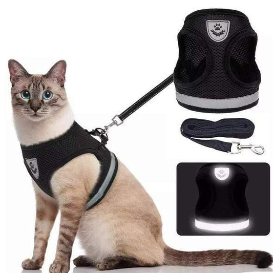 Safe Puppy Pet Harness Set - Lusomart