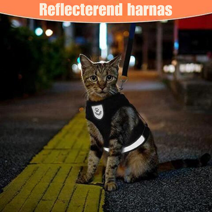 Reflective Cat Harness and Leash Set with Adjustable Straps for Safe Night Adventures – Comfortable Fit for Cats and Kittens 1