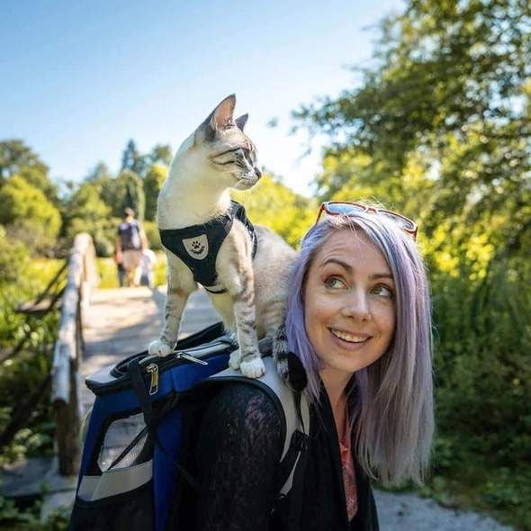 Reflective Cat Harness and Leash Set with Adjustable Straps for Safe Night Adventures – Comfortable Fit for Cats and Kittens 2