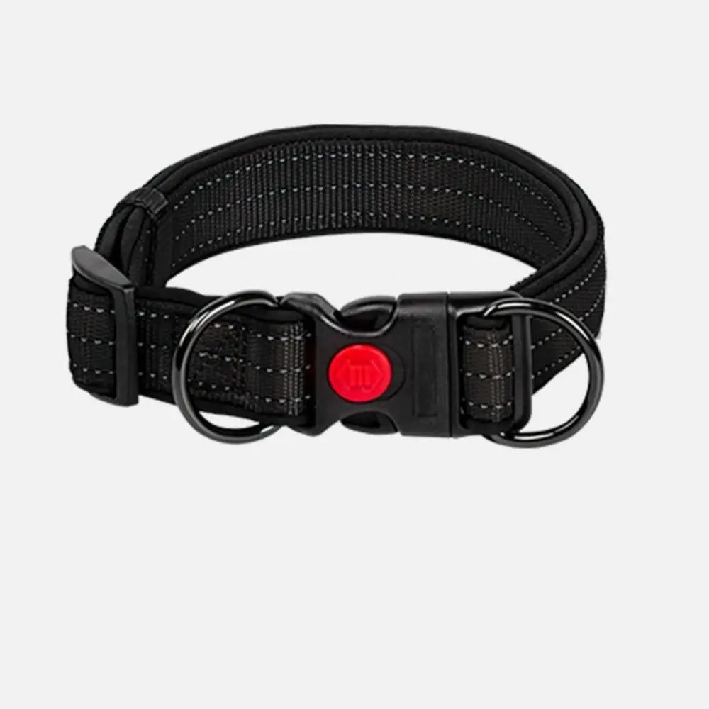 Bright Reflective Pet Collar - Lusomart