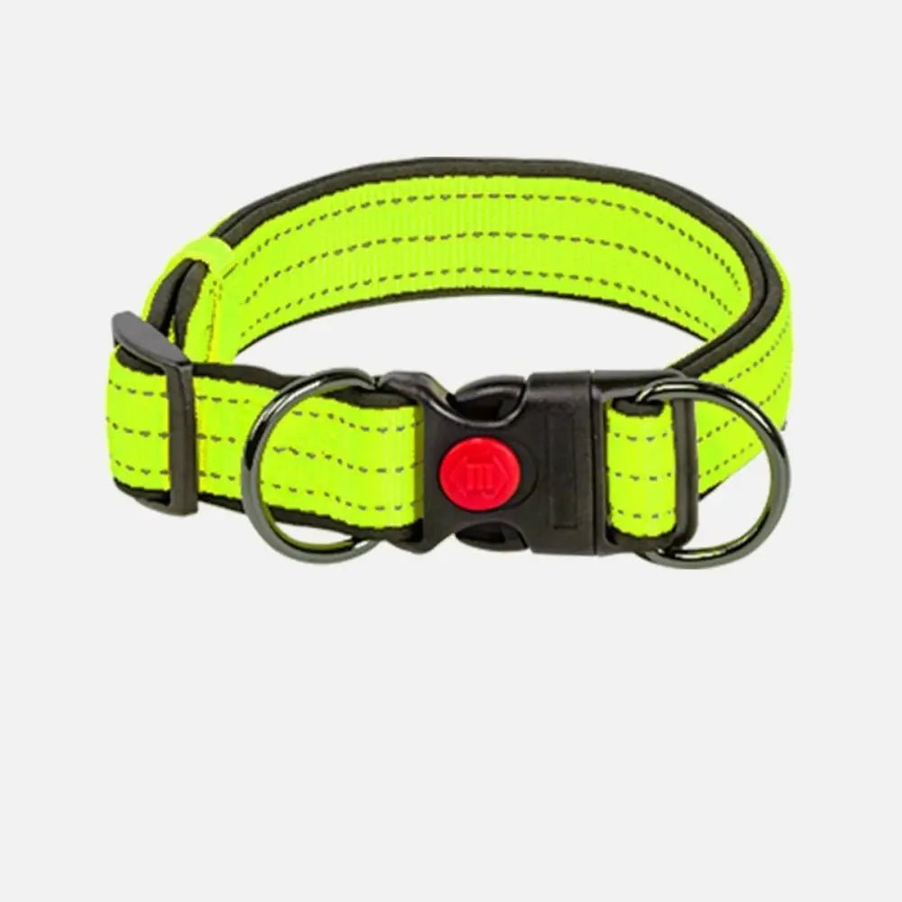 Reflective Dog Collar with 360° Visibility, Adjustable Neoprene Padding for All Sizes – Durable Nylon, Safe Plastic Buckle 4