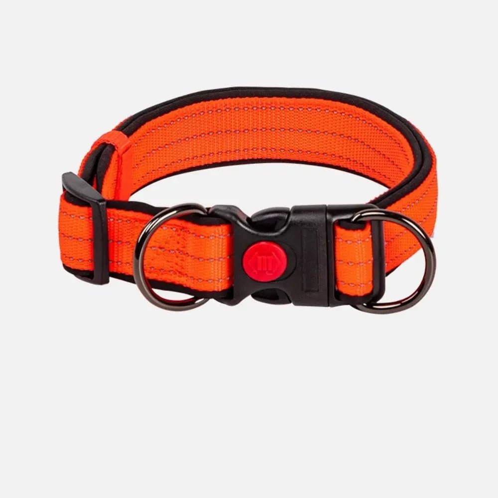 Reflective Dog Collar with 360° Visibility, Adjustable Neoprene Padding for All Sizes – Durable Nylon, Safe Plastic Buckle 5
