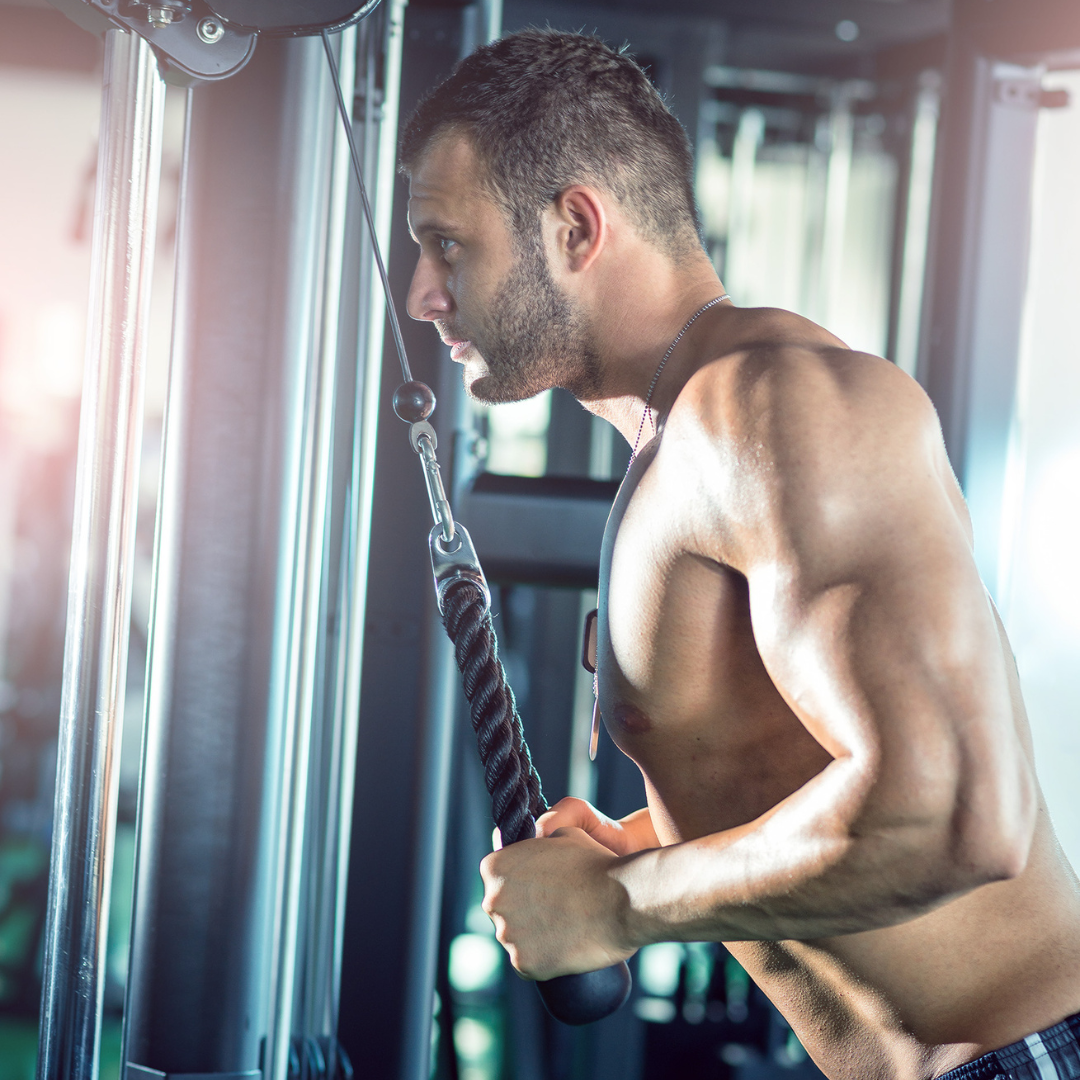 RopeFlex | Durable Ergonomic Tricep Cable Machine Attachment 2