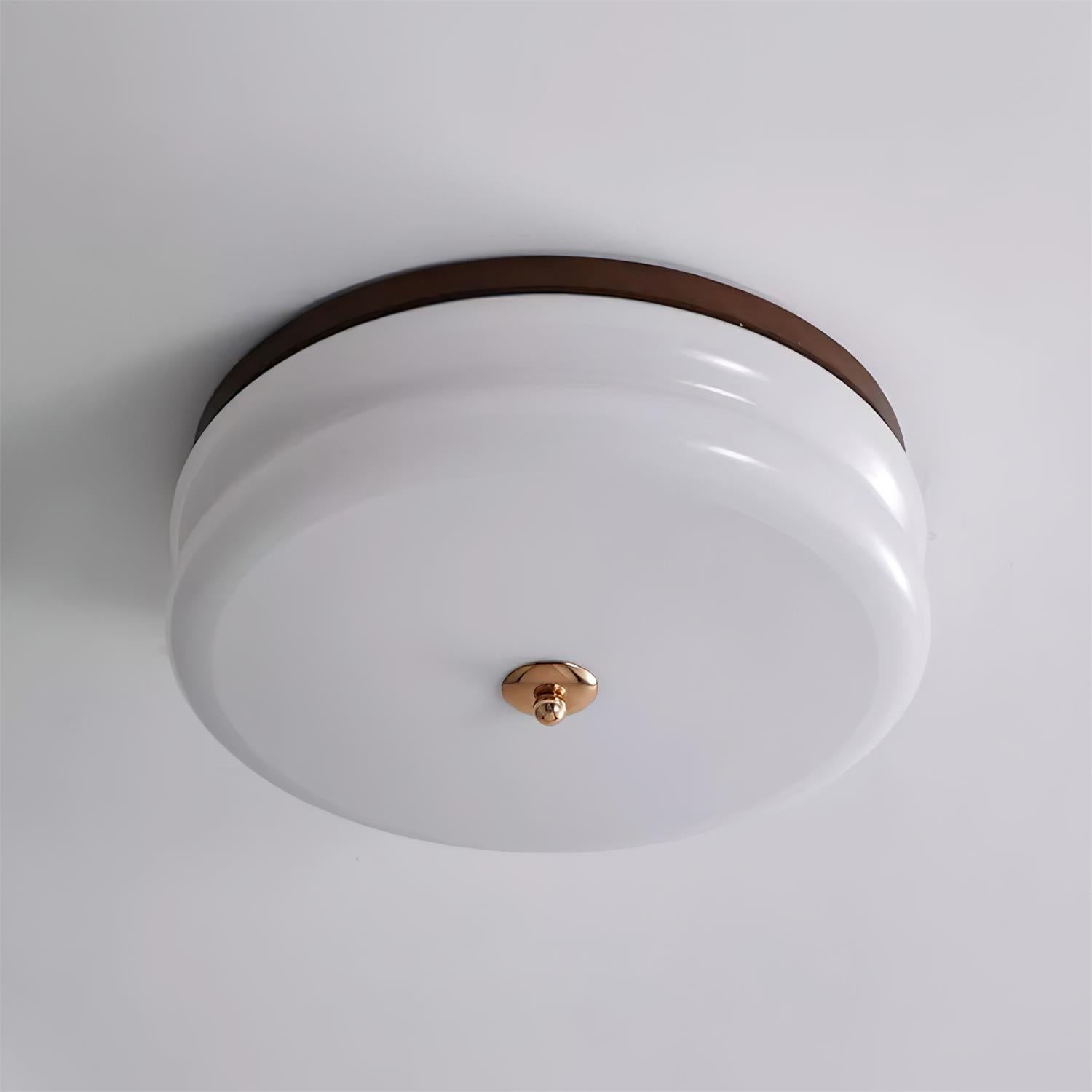 Sleek Contemporary Glass Ceiling Lamp - Lusomart