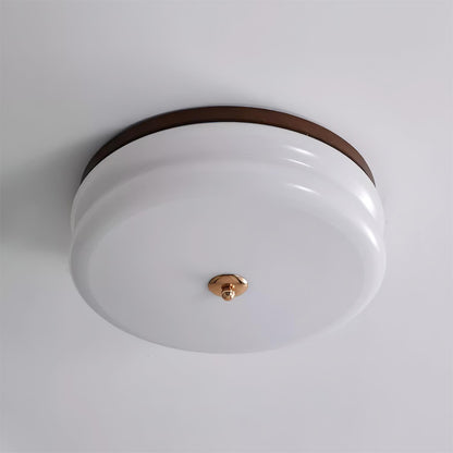 Sleek Contemporary Glass Ceiling Lamp - Lusomart