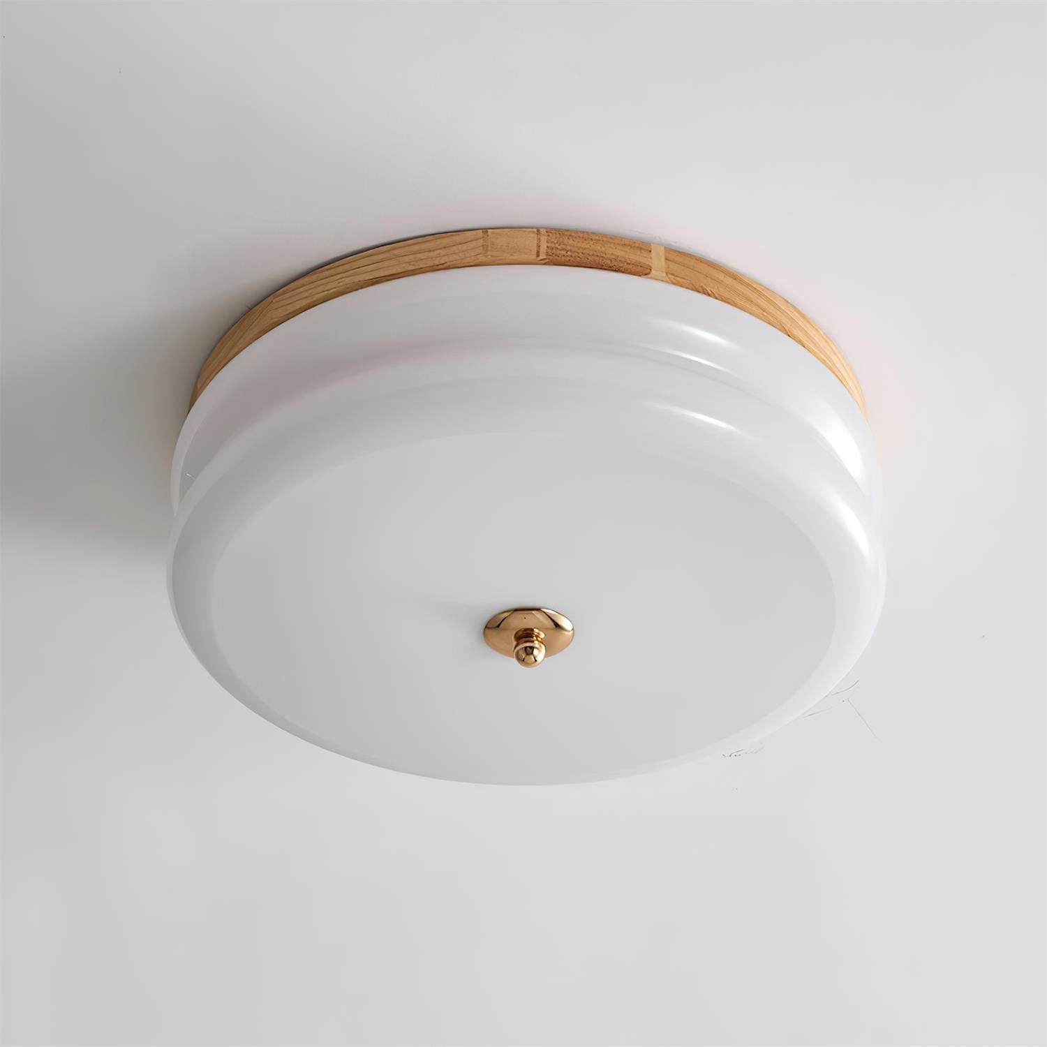 RowenWood | Elegant Modern Flush Mount Ceiling Light with Glass Shade 10