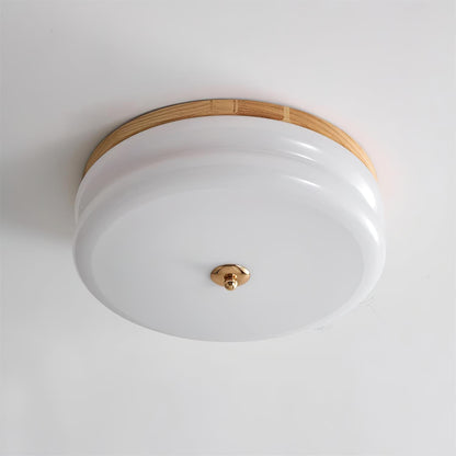 RowenWood | Elegant Modern Flush Mount Ceiling Light with Glass Shade 10