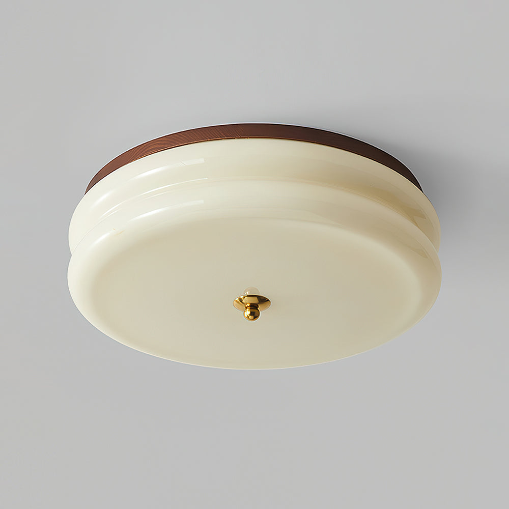 RowenWood | Elegant Modern Flush Mount Ceiling Light with Glass Shade 11