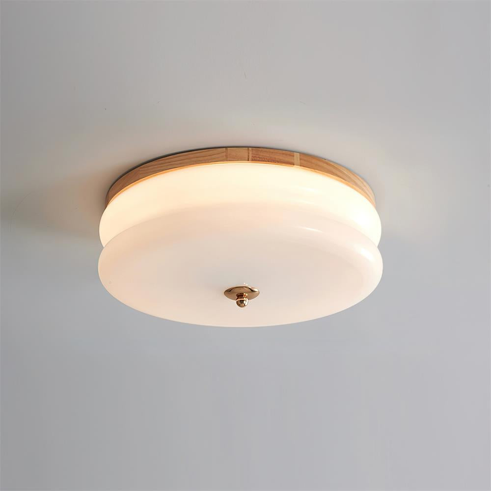 RowenWood | Elegant Modern Flush Mount Ceiling Light with Glass Shade 3