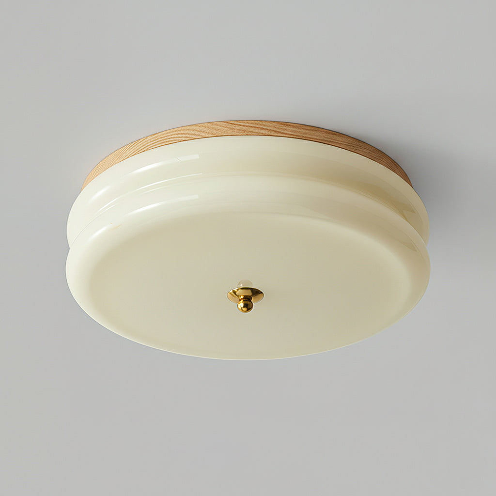 RowenWood | Elegant Modern Flush Mount Ceiling Light with Glass Shade 9