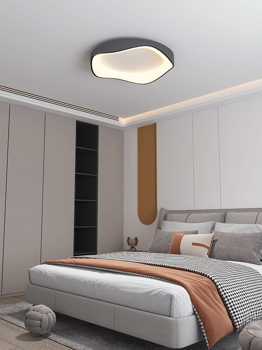 Modern LED Ceiling Wall Light