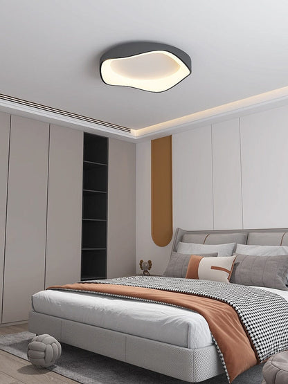 Modern LED Ceiling Wall Light