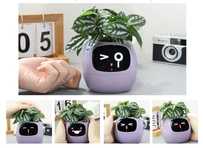 Intelligent Self Watering Planter With AI Technology