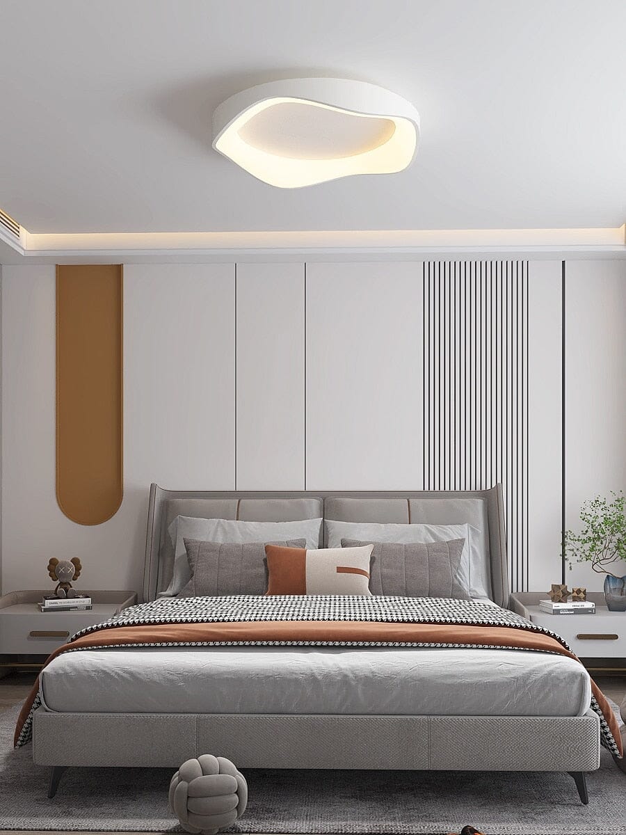 Modern LED Ceiling Wall Light