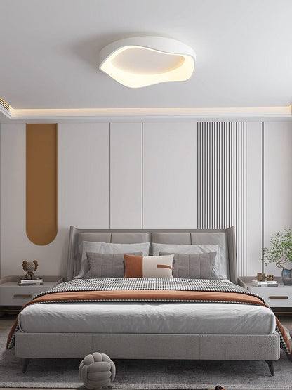 Modern LED Ceiling Wall Light