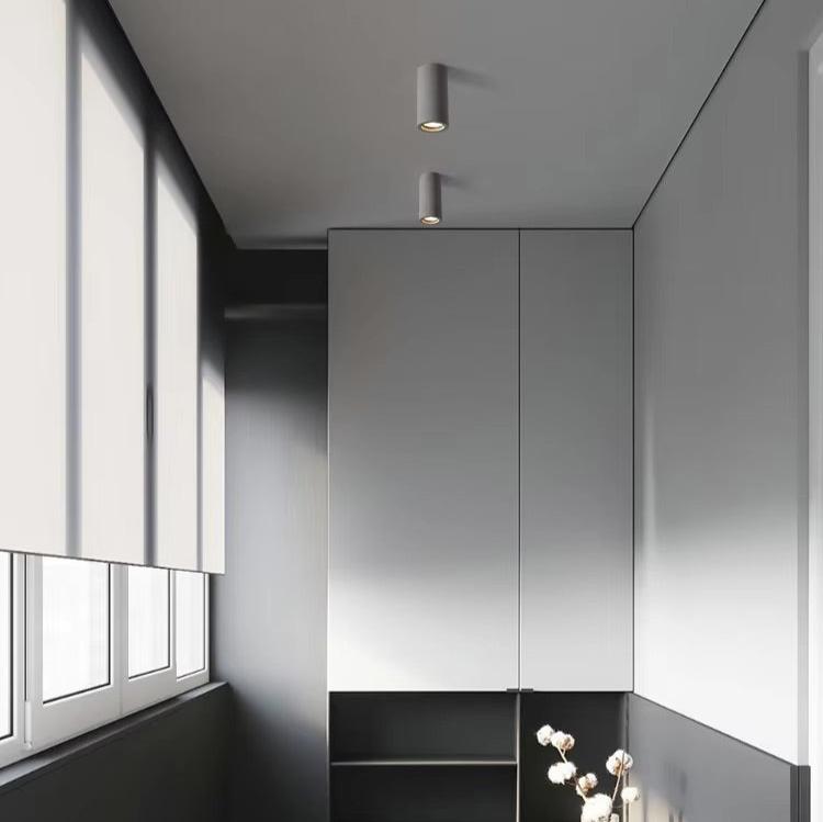 Elegant Home Ceiling Light Fixture