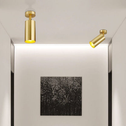 Bright LED Downlight Fixtures