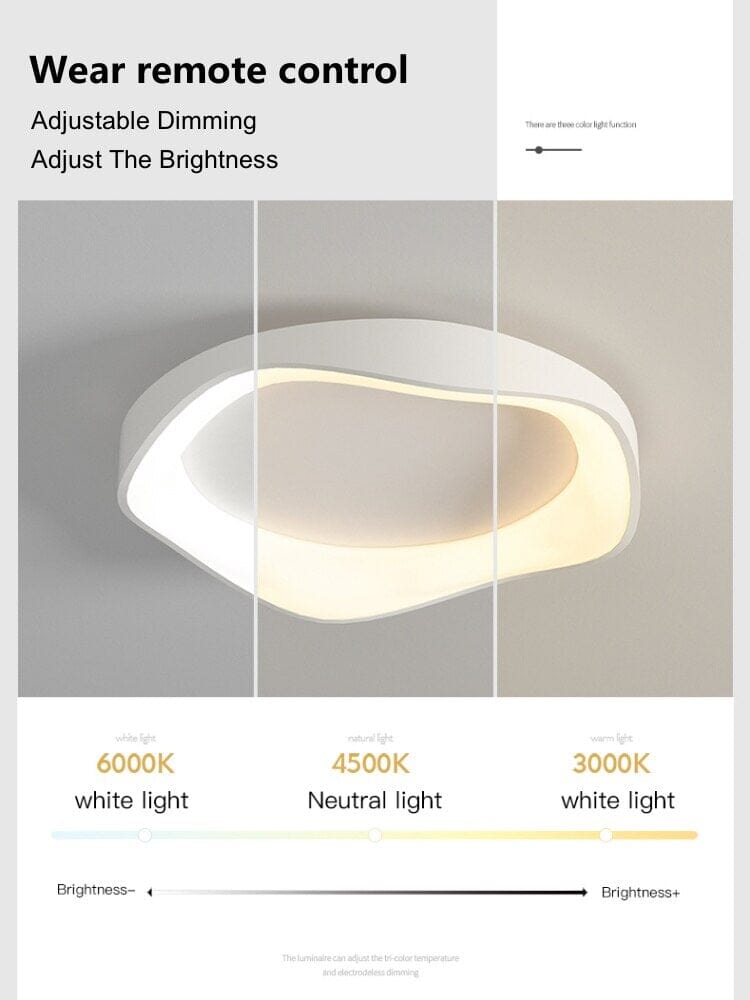 Modern LED Ceiling Wall Light