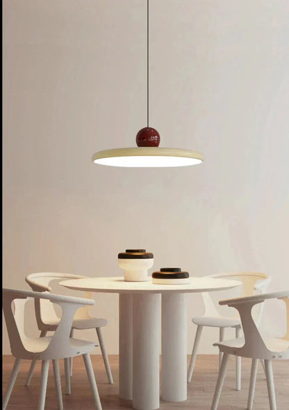 Elegant Hanging Pendant Light Fixture