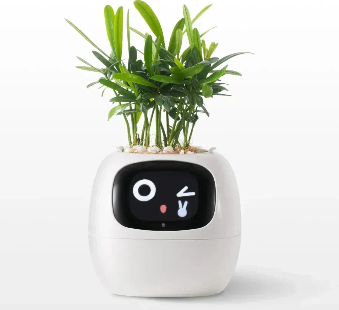 Intelligent Self Watering Planter With AI Technology