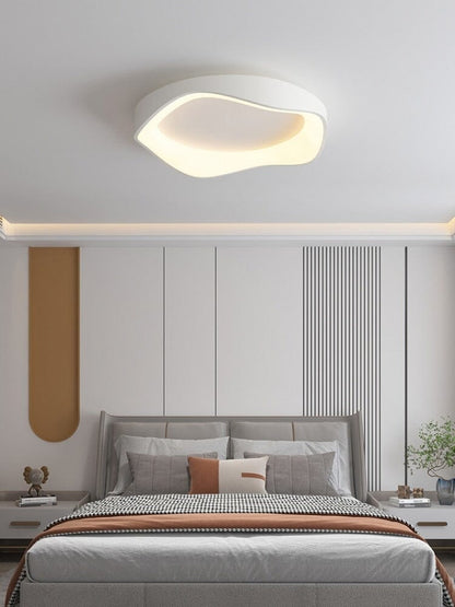 Modern LED Ceiling Wall Light
