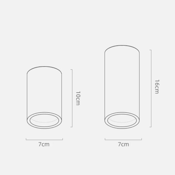 Elegant Home Ceiling Light Fixture