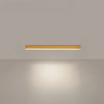 Simple Sleek LED Outdoor Ceiling Lamp