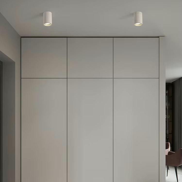 Elegant Home Ceiling Light Fixture