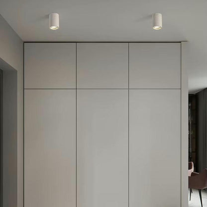 Elegant Home Ceiling Light Fixture