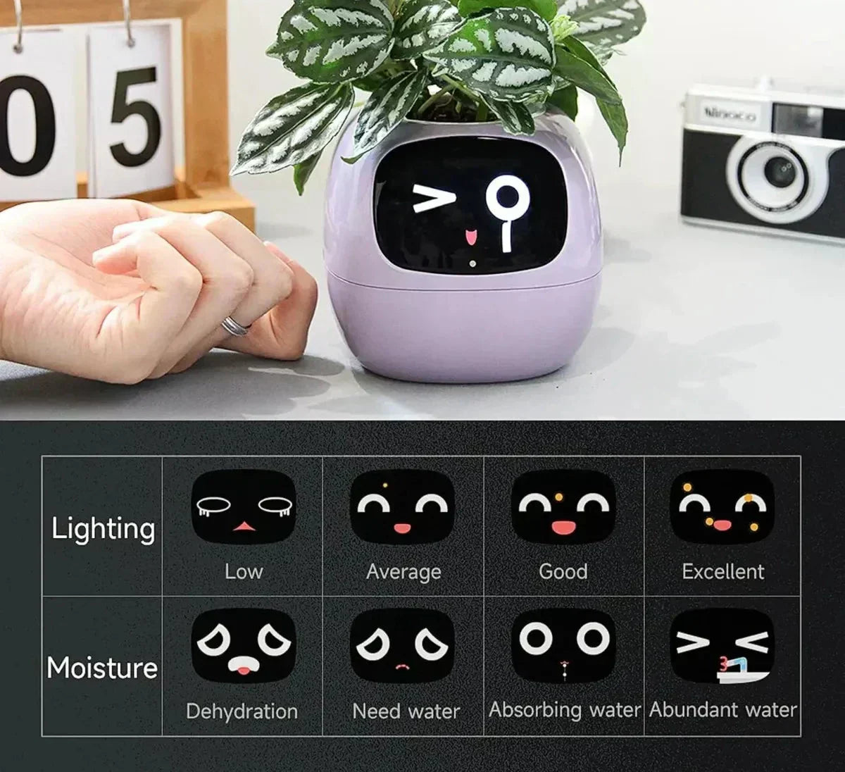 Intelligent Self Watering Planter With AI Technology